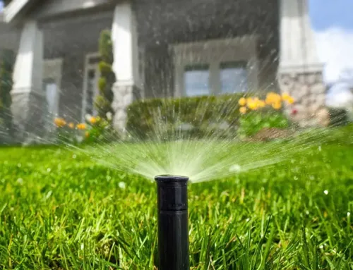 Save Water and Money with a Rain Sensor for Your Sprinkler System