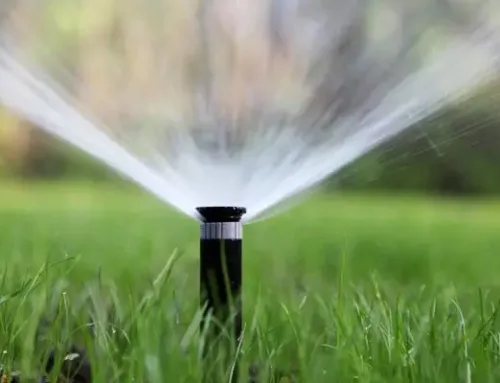 3 Reasons Your Sprinkler System Needs an Upgrade for a Beautiful Lawn