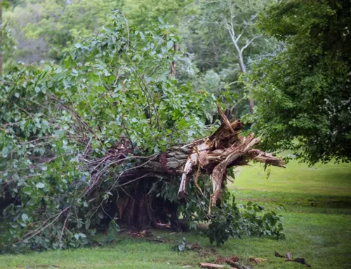 Time to Prepare for Hurricane Season